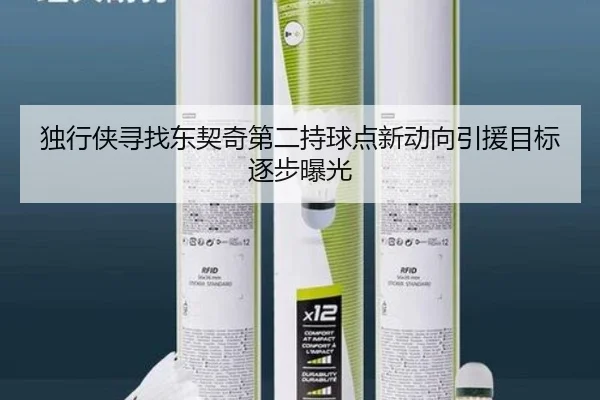 独行侠寻找东契奇第二持球点新动向引援目标逐步曝光